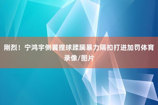 刚烈！宁鸿宇侧翼捏球蹂躏暴力隔扣打进加罚体育录像/图片