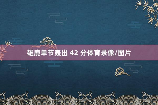 雄鹿单节轰出 42 分体育录像/图片