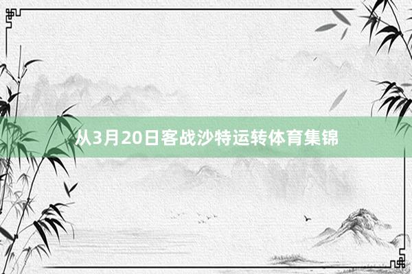 从3月20日客战沙特运转体育集锦