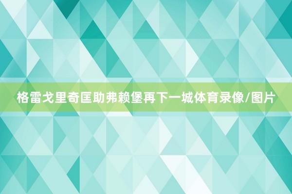 格雷戈里奇匡助弗赖堡再下一城体育录像/图片