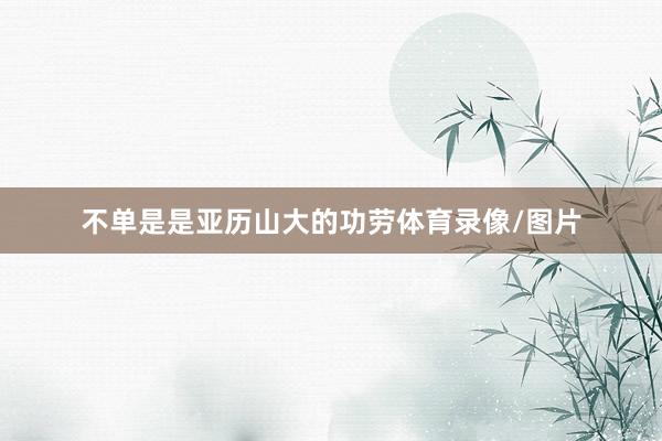 不单是是亚历山大的功劳体育录像/图片
