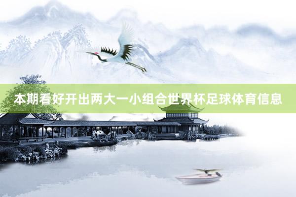 本期看好开出两大一小组合世界杯足球体育信息