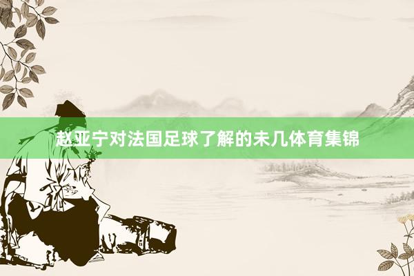赵亚宁对法国足球了解的未几体育集锦