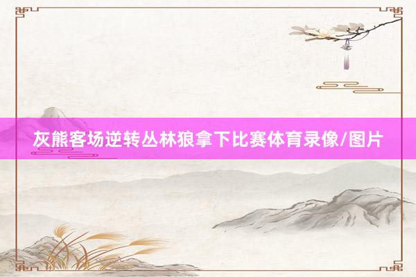 灰熊客场逆转丛林狼拿下比赛体育录像/图片