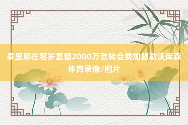 泰里耶在客岁夏窗2000万欧转会费加盟勒沃库森体育录像/图片