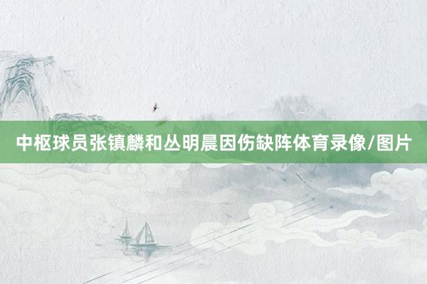 中枢球员张镇麟和丛明晨因伤缺阵体育录像/图片