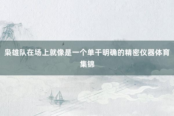 枭雄队在场上就像是一个单干明确的精密仪器体育集锦