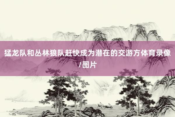 猛龙队和丛林狼队赶快成为潜在的交游方体育录像/图片