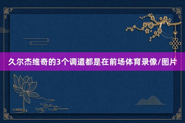 久尔杰维奇的3个调遣都是在前场体育录像/图片
