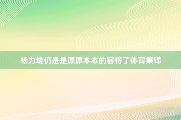 杨力维仍是是原原本本的宿将了体育集锦