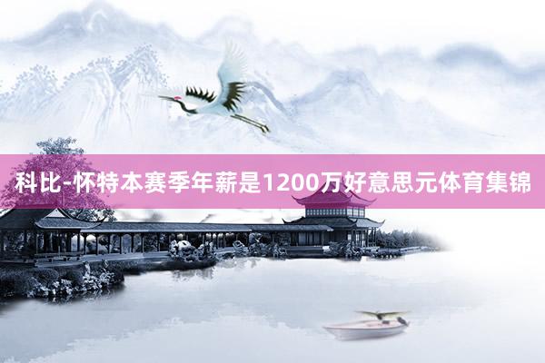 科比-怀特本赛季年薪是1200万好意思元体育集锦