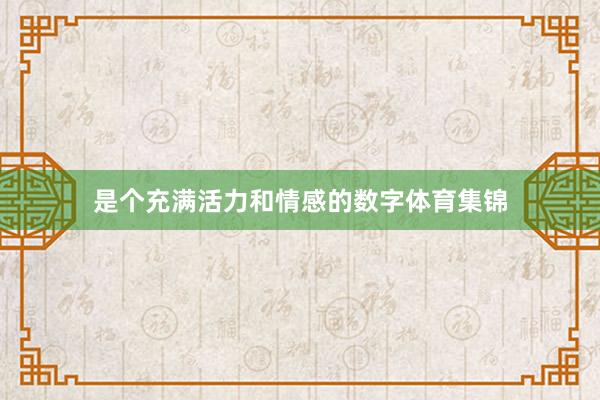 是个充满活力和情感的数字体育集锦