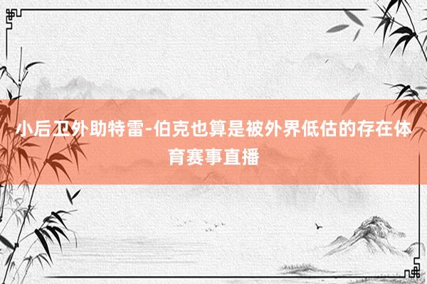 小后卫外助特雷-伯克也算是被外界低估的存在体育赛事直播
