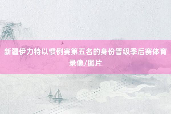 新疆伊力特以惯例赛第五名的身份晋级季后赛体育录像/图片