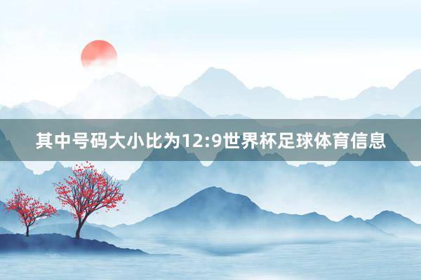 其中号码大小比为12:9世界杯足球体育信息