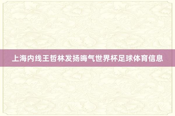 上海内线王哲林发扬晦气世界杯足球体育信息