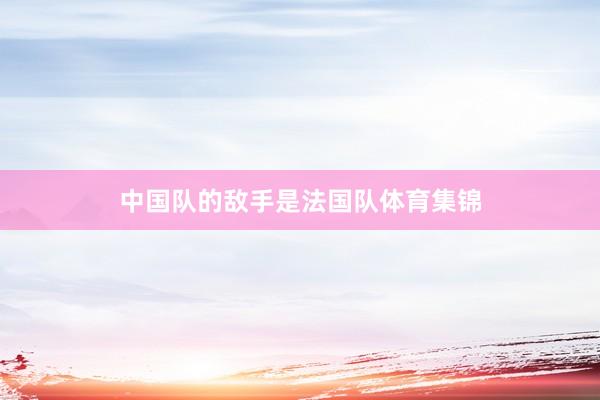 中国队的敌手是法国队体育集锦