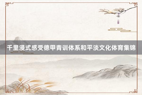 千里浸式感受德甲青训体系和平淡文化体育集锦