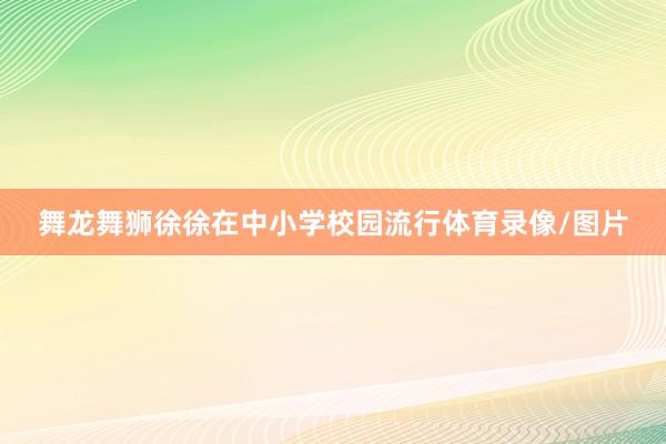 舞龙舞狮徐徐在中小学校园流行体育录像/图片