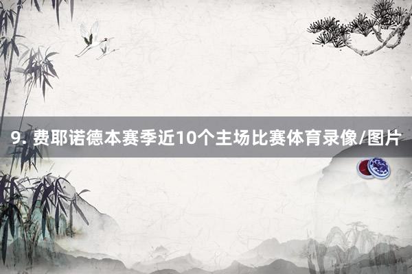 9. 费耶诺德本赛季近10个主场比赛体育录像/图片
