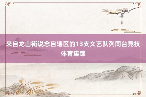 来自龙山街说念自辖区的13支文艺队列同台竞技体育集锦