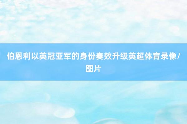 伯恩利以英冠亚军的身份奏效升级英超体育录像/图片