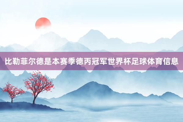 比勒菲尔德是本赛季德丙冠军世界杯足球体育信息