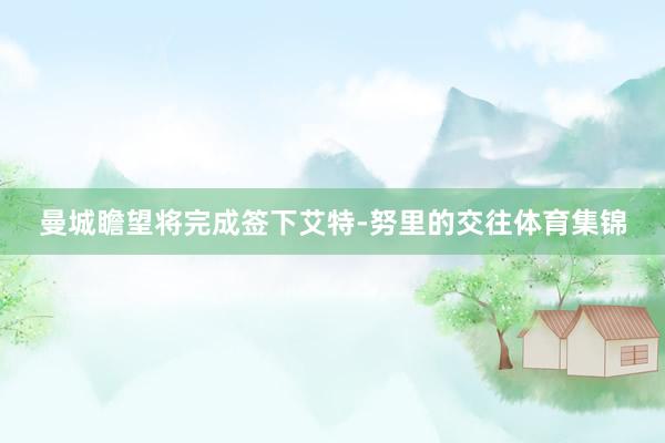 曼城瞻望将完成签下艾特-努里的交往体育集锦