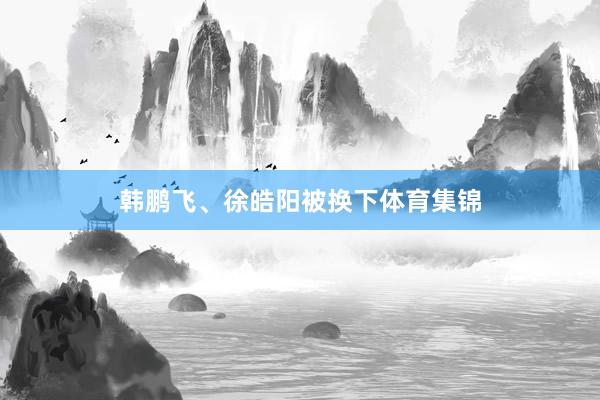 韩鹏飞、徐皓阳被换下体育集锦