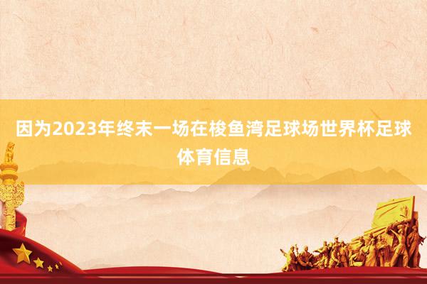 因为2023年终末一场在梭鱼湾足球场世界杯足球体育信息