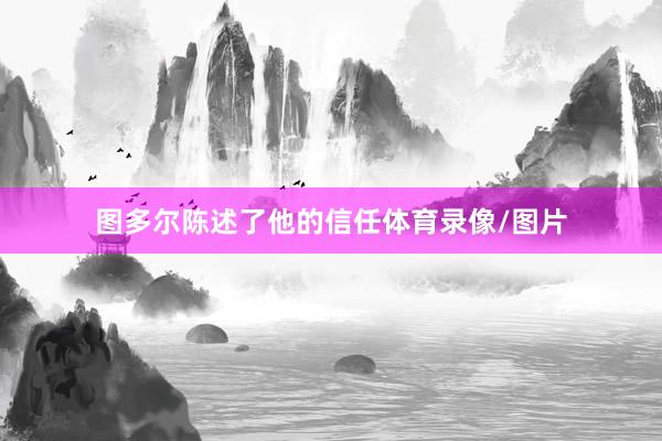 图多尔陈述了他的信任体育录像/图片