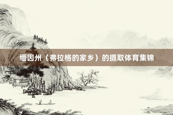 缅因州(弗拉格的家乡)的摄取体育集锦