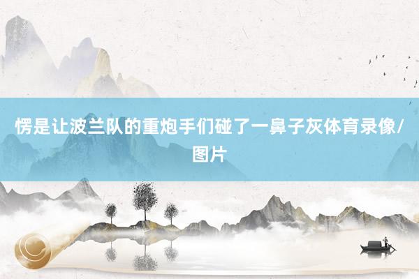 愣是让波兰队的重炮手们碰了一鼻子灰体育录像/图片