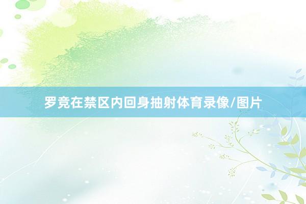 罗竞在禁区内回身抽射体育录像/图片