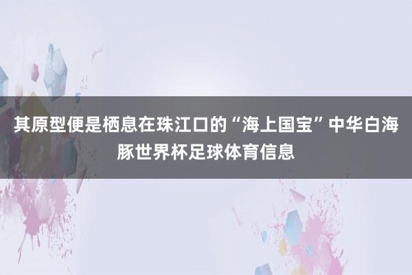 其原型便是栖息在珠江口的“海上国宝”中华白海豚世界杯足球体育信息