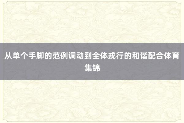 从单个手脚的范例调动到全体戎行的和谐配合体育集锦