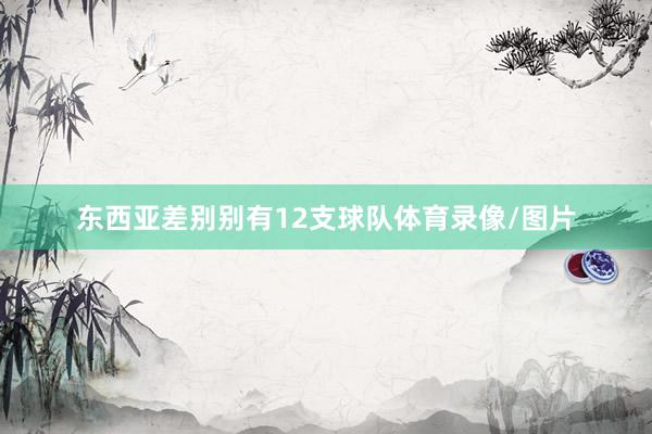 东西亚差别别有12支球队体育录像/图片
