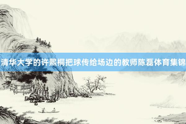 清华大学的许熙桐把球传给场边的教师陈磊体育集锦