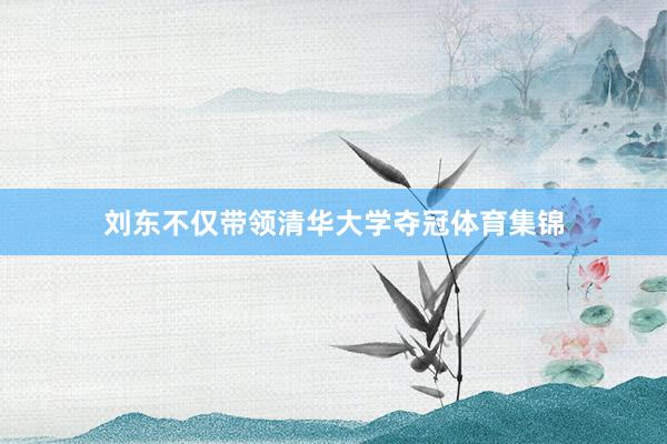刘东不仅带领清华大学夺冠体育集锦