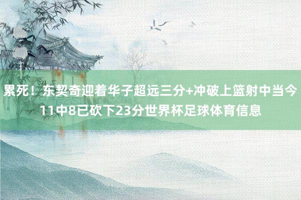 累死！东契奇迎着华子超远三分+冲破上篮射中当今11中8已砍下23分世界杯足球体育信息