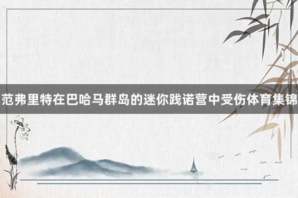 范弗里特在巴哈马群岛的迷你践诺营中受伤体育集锦