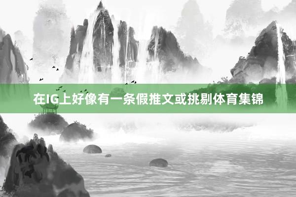 在IG上好像有一条假推文或挑剔体育集锦