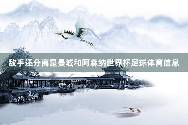 敌手还分离是曼城和阿森纳世界杯足球体育信息