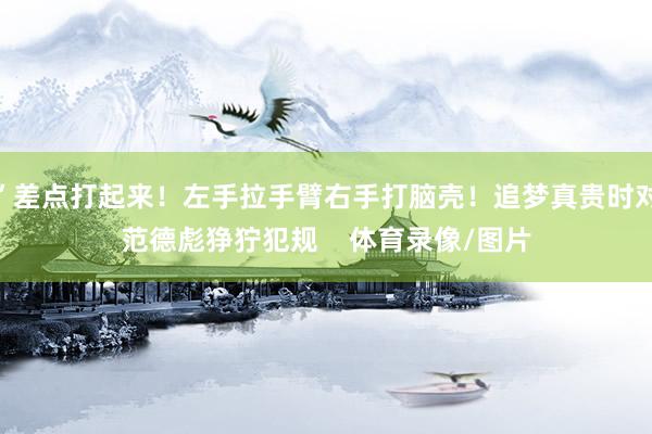 ”差点打起来！左手拉手臂右手打脑壳！追梦真贵时对范德彪狰狞犯规    体育录像/图片