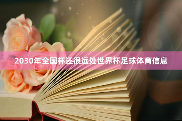 2030年全国杯还很远处世界杯足球体育信息
