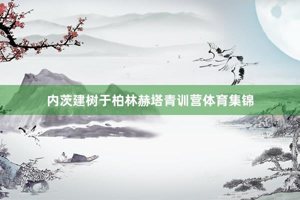 内茨建树于柏林赫塔青训营体育集锦