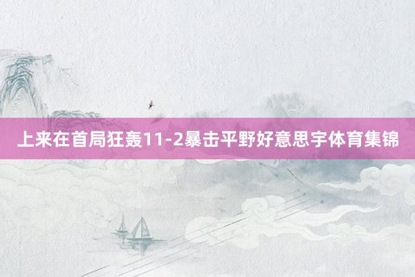 上来在首局狂轰11-2暴击平野好意思宇体育集锦