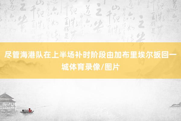 尽管海港队在上半场补时阶段由加布里埃尔扳回一城体育录像/图片