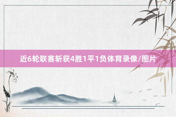 近6轮联赛斩获4胜1平1负体育录像/图片