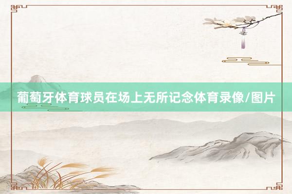葡萄牙体育球员在场上无所记念体育录像/图片